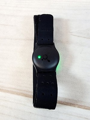 OT BEAT BURN 1.0 Orange Theory Heart Rate Monitor | eBay