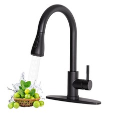 HOTIS Black Kitchen Faucet, Single Handle Matte Black Kitchen Faucets with Pu...