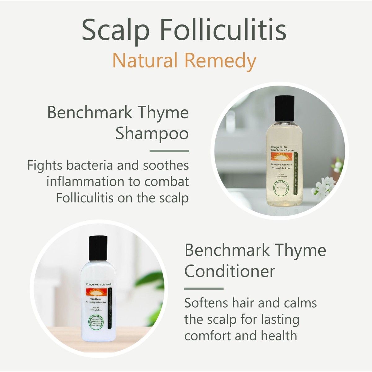 Scalp Folliculitis Remover Antibacterial Antiseptic Anti Inflammatory  Shampoo UK