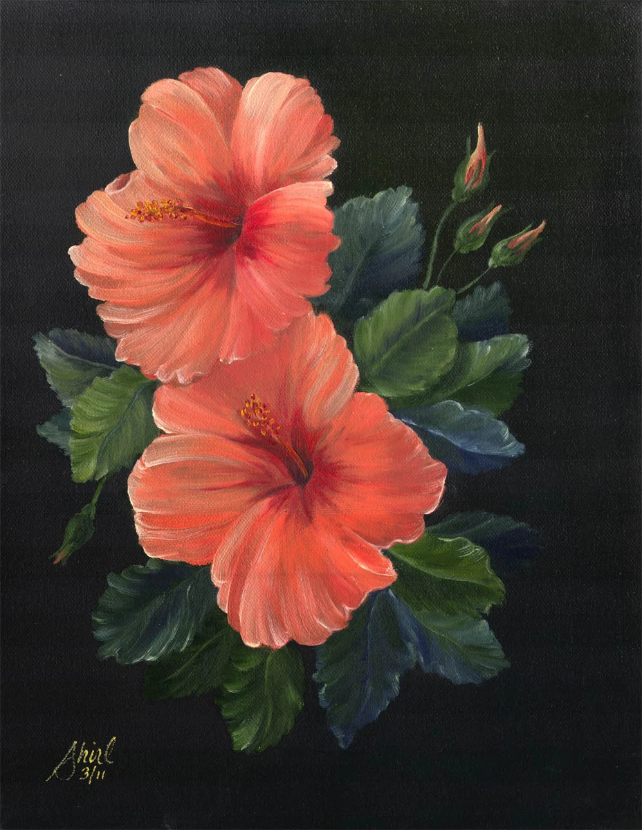 Hibiscus painting on sale