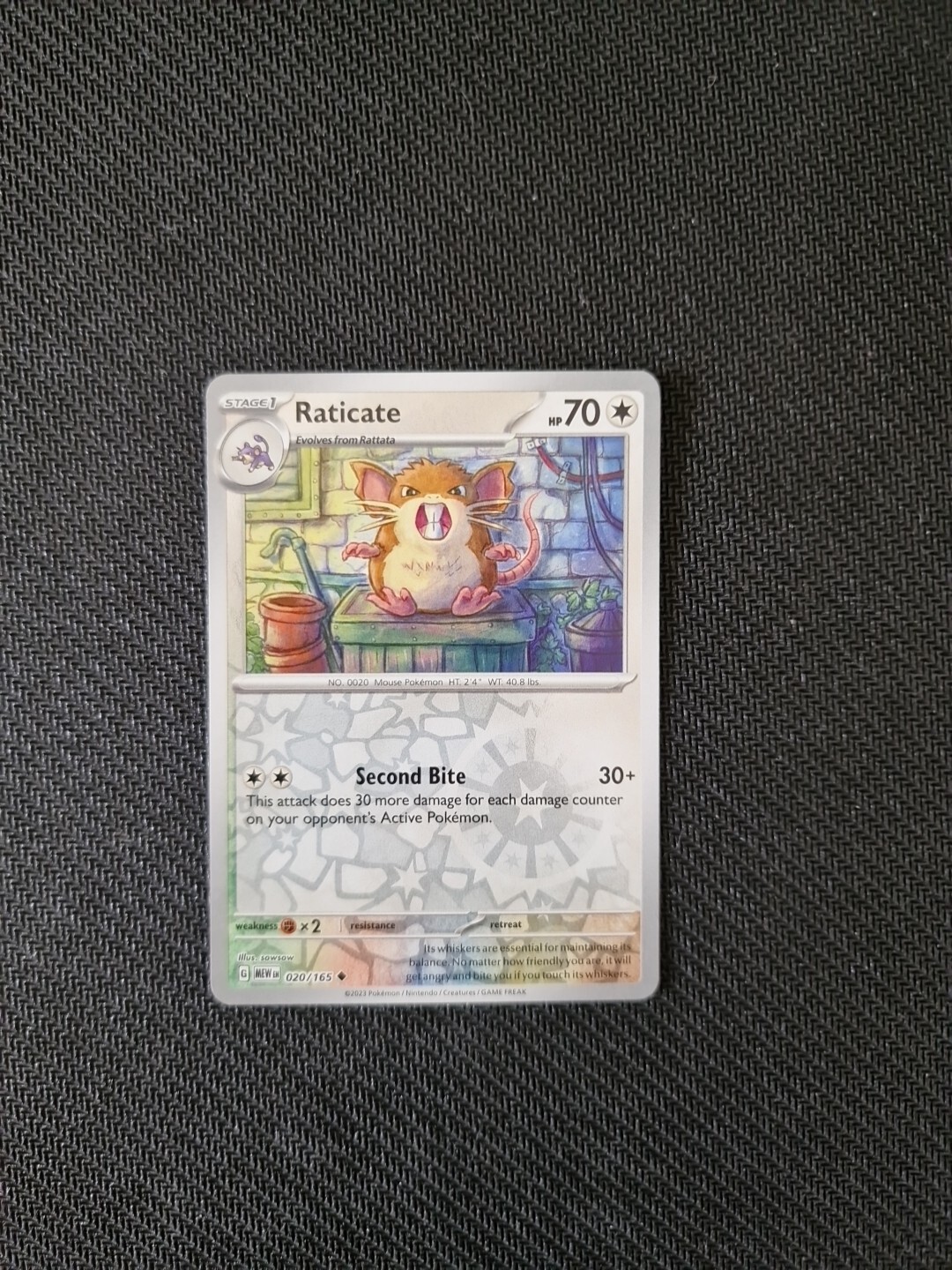 Raticate - 020/165 - Reverse Holo Uncommon -Scarlet & Violet 151-Pokémon Card-NM