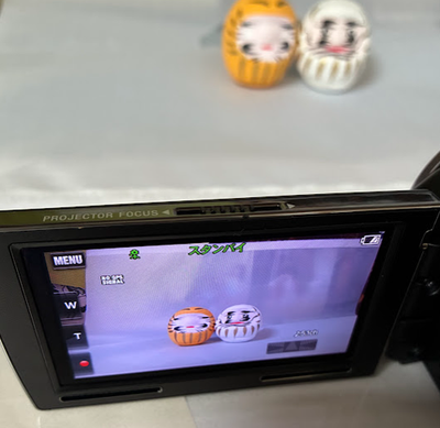 SONY HDR-PJ590V Handycam Black Video Camera Camcorder Tested