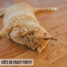 Our Pets Premium North-American Grown Catnip 2.25 oz.