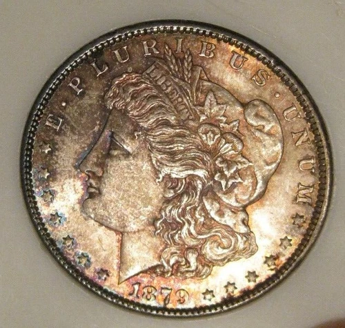 1879 S Morgan Silver Dollar - UNC, Frosty, Fully toned obv 4413
