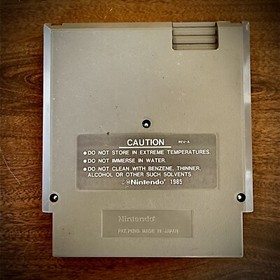 Astyanax (Nintendo Entertainment System NES, 1990) Authentic TESTED