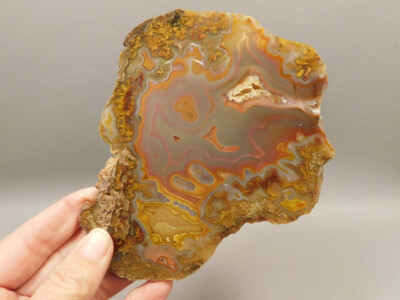 Laguna Agate Polished Stone Slab Red Collector Rock #O100