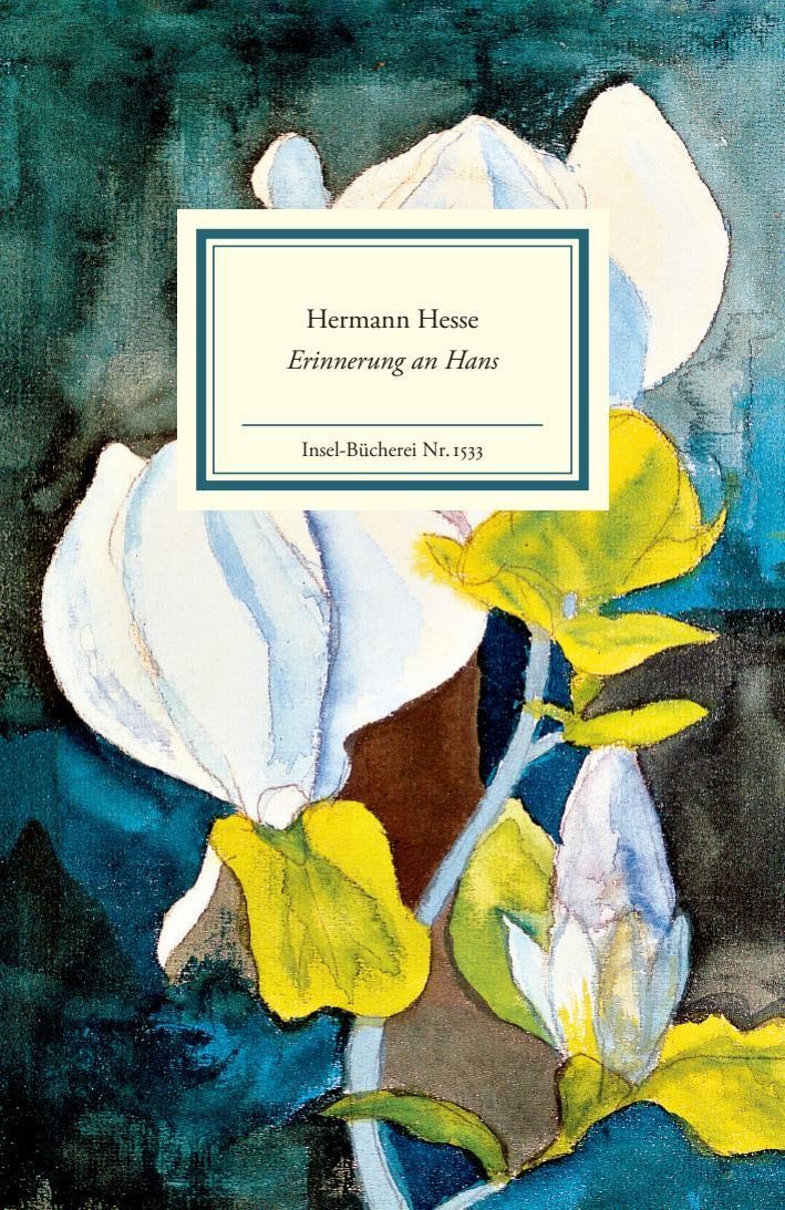 Erinnerung an Hans Hermann Hesse