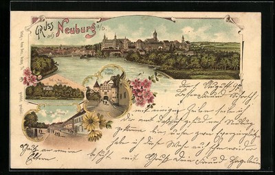Lithographie Neuburg a. D., Graf v. Moy Schlösschen, Oberes Stadthof, Luitpold- 