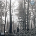 Taylor Swift - Folklore [2021 Deluxe Edition] [New Double Vinyl Record LP]