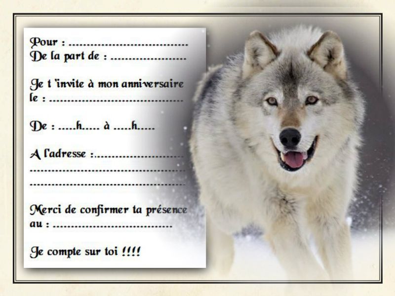 Cartes Invitation Anniversaire – REF 912 – Lot De 5 Ou 12 – Neuves