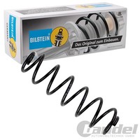 Bilstein B3 Fahrwerksfeder Feder Hinterachse Passend FüR Seat Leon