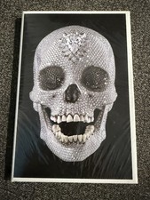 Damien Hirst: for the Love of God, the Making of the Diamond Skull