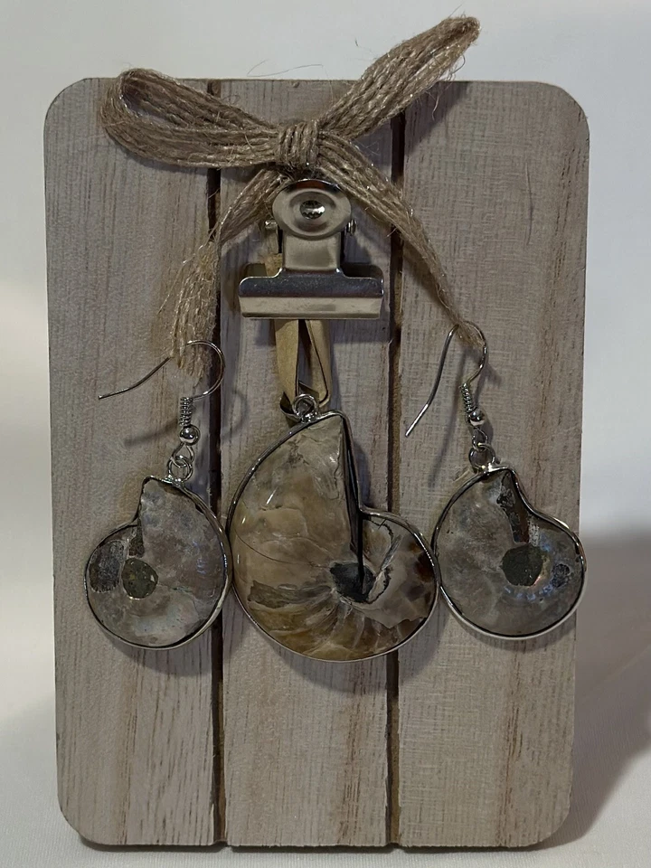 Набор посеребренных аммонитов - Изображение 2 из 4