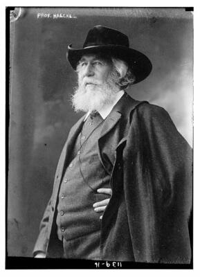 Prof. Haeckel c1900 Large Old Photo