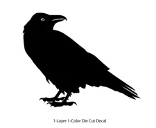 Wildlife - Birds - Staring Raven/Crow/Corvid - 6Yrs Outdoor Vinyl DieCut Sticker
