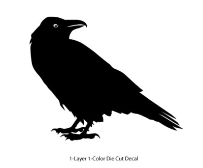 Wildlife - Birds - Staring Raven/Crow/Corvid - 6Yrs Outdoor Vinyl DieCut Sticker