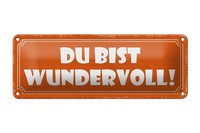 Blechschild Spruch 27X10 Cm Du Bist Wundervoll Metall Deko Schild Tin Sign