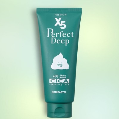 SKINPASTEL Premium X5 Cica Perfect Deep Cleansing Foam 160ml Korea Cosmetics NEU