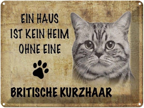 Blechschild 30X40 Cm Britische Kurzhaar Katze Deko Geschenk Metall Schild-image