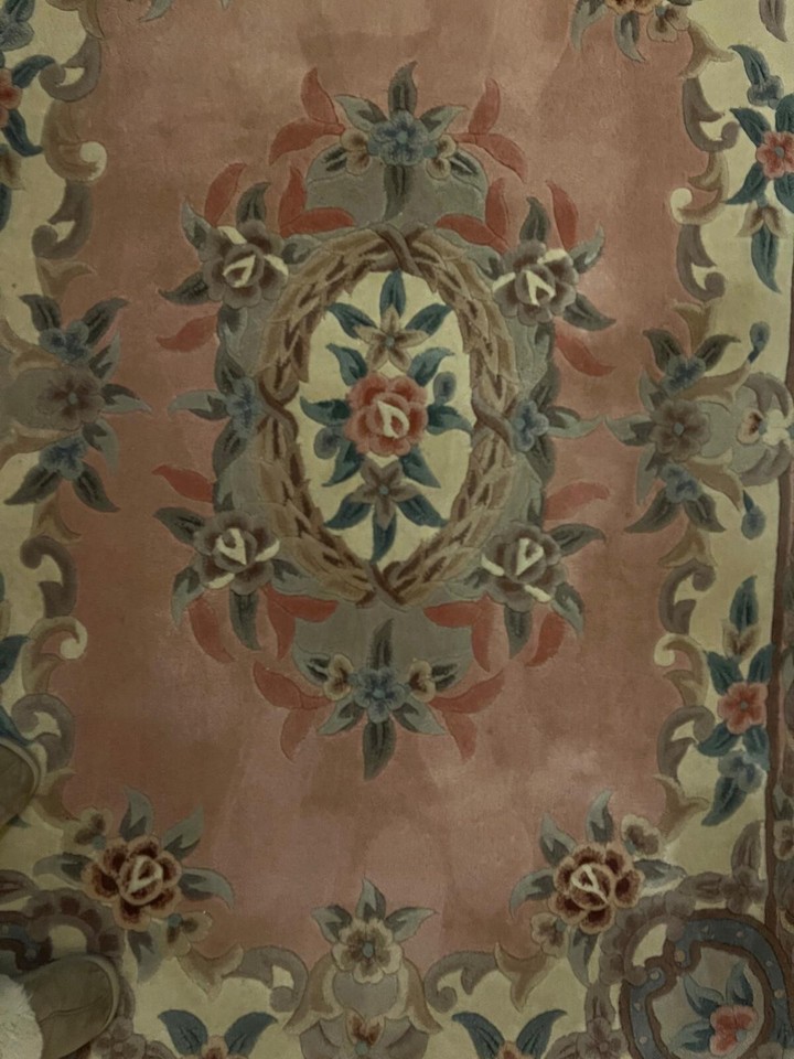 Vintage Chinese Wool ??????Oriental Sculpted Rug 152 x 77 cm eBay