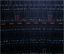 IKEA Detolf 15x15 Diorama Backdrop - BESPIN AIRSHAFT