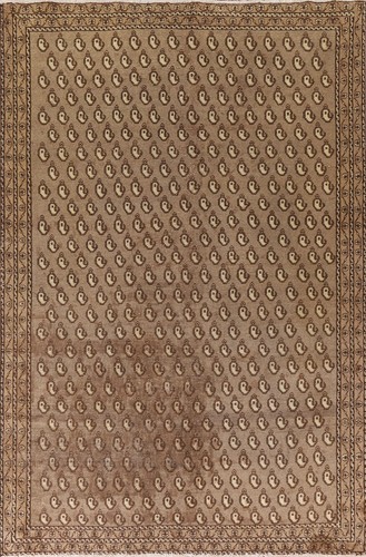 All-Over Pattern Brown Traditional Rug 6x10 Handmade Wool Living Room Carpet