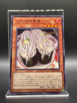 yugioh sushi cards Yugioh MP22 POTE CYAC Gunkan Suship Deck Core 33 Cards YuGiOh Power of the Elements
