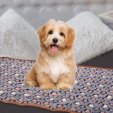 Pet Blanket Flannel Star Printed Throw Blanket16x24 Inches Blue 3 Pack