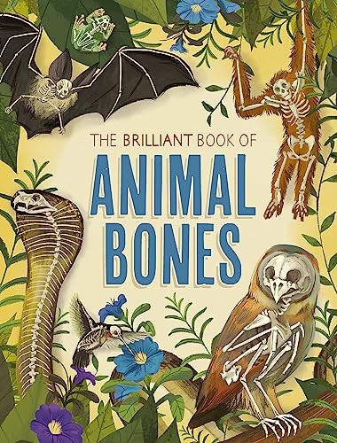 The Brilliant Book of Animal Bones by Anna Claybourne - - Image 2