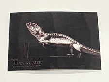 2024 Topps Allen & Ginter Baseball X-ray'd #XR-6 - Bearded Dragon