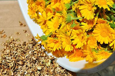 Calendula Seeds - RESINA - Pot Marigold - Edible Flowers & Leaves - 200  Seeds | eBay