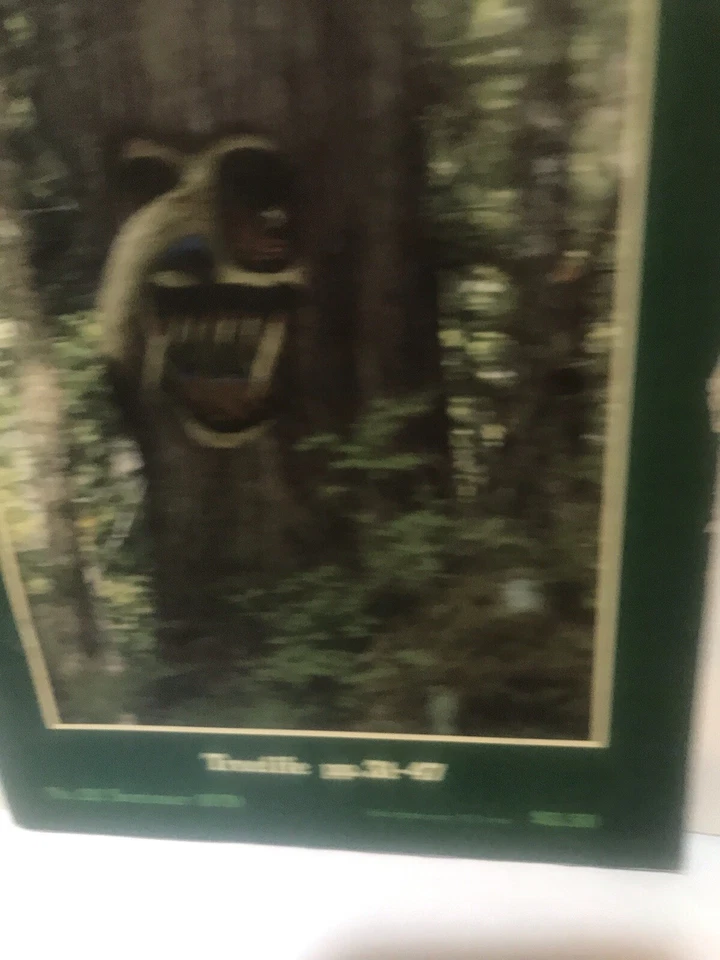 CoEVOLUTION  QUARTERLY No. 22 summer 1979 gd/excl - Image 4 of 4