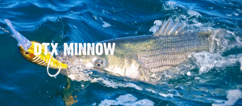 Nomad DTX Minnow Trolling Lure- Floating or Sinking - Pick Size & Color - Picture 3 of 36