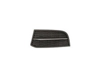 Gitter Grill StoßStange Vorne Links FÜR BMW 5ER F10 M-TECH 2010-2013 Ohne Nebel