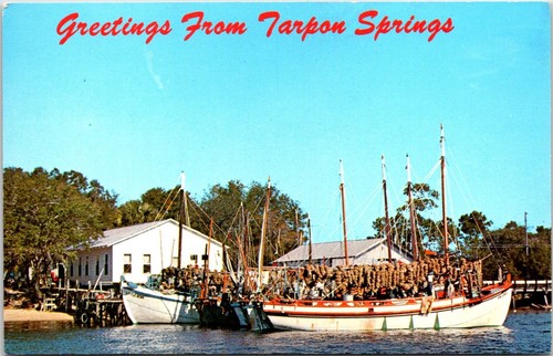 Tarpon Springs Greetings Sponge Boats Florida Postcard E59