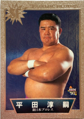 Junji Hirata SF 6 Pro-Wrestling BBM 1997 Fight magazine made in