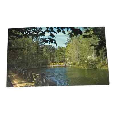 Postcard Callaway Gardens Pine Mountain Georgia Vintage B405