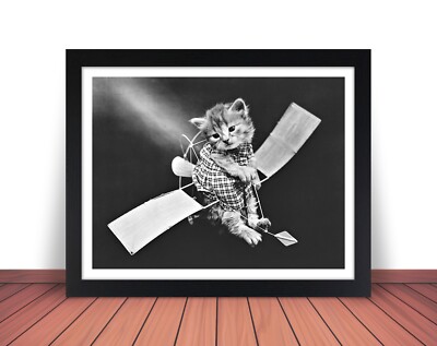 Framed KITTEN 'FLYING PLANE'' Photo Picture CAT AVIATOR - 8x10 or 11x14 (W8)