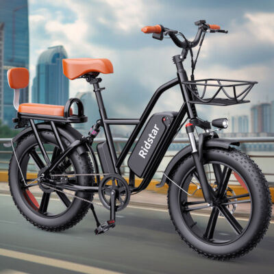 Electric Bike 1000W 48V 15Ah 20