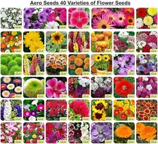 40 Varieties of Flower Seeds Combo For Your Garden Beautiful Bloom Germination