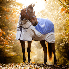 Horseware Rambo Autumn Series