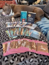 Soulmate Intuitive Reading