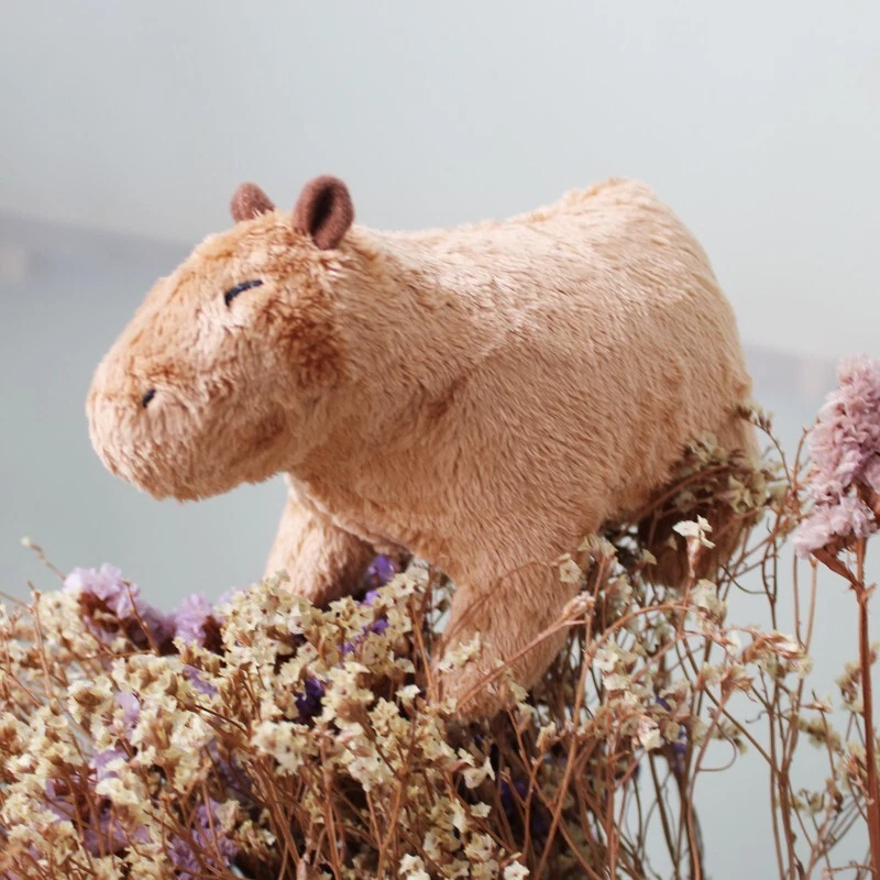 Boneca Capivara, Brinquedo Fofo, Brinquedo Kawaii Para Crian - Desconto no Preço