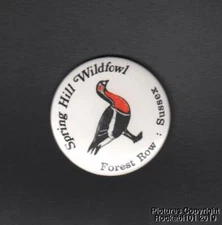 British Spring Hill Waterfowl Park Pin Pinback Button