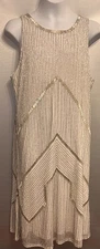 NWT ADRIANNA PAPELL silver Beaded Dress Sz 8 Sleeveless Formal Flapper Swifty
