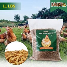 11 LBS Non-GMO Bulk Dried Mealworms Fit Birds Chickens Hen Fish Reptile Turtles