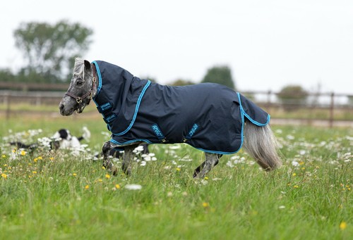Horseware Amigo Hero Petite Plus Hood Miniature 600d Turnout Rug Med 200g 2'9-4' - 第 3/4 張圖片