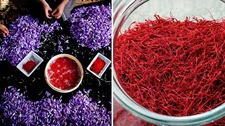 Bulk Genuine Premium Grade A+, All Red, Organically Grown Negin Saffron