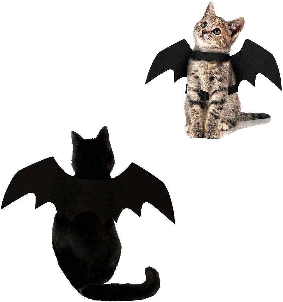 Black Cat Costumes