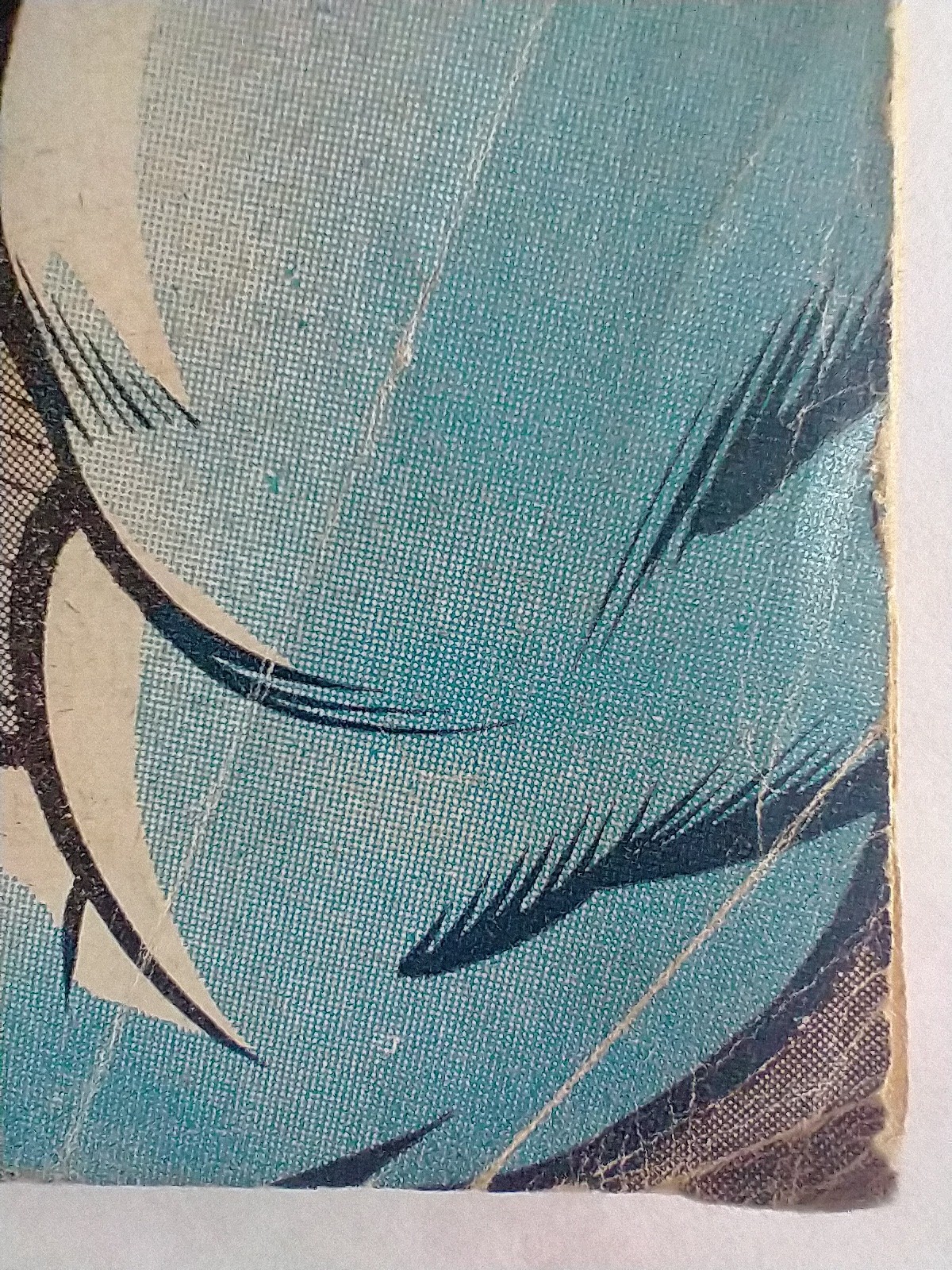 Picture 8 of 13
